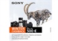 SONY Wintercashback