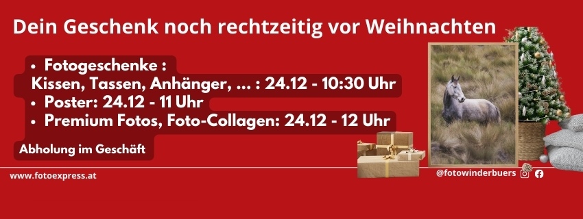 Dein Geschenk rechtzeitig vor Weihnachten